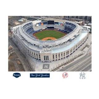   Yankee Stadium in The Bronx Mural Wall Graphic: Sports & Outdoors