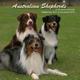  Australian Shepherds 2012 Wall Calendar 12 X 12 Office 