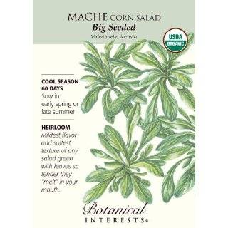 Mache Corn Salad Certified Organic Seed