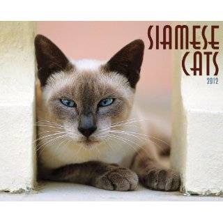 Siamese Cats 2012 Wall Calendar 12 X 12