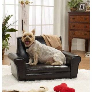  Black and Gold Gypsy Foam Pet Dog Chair: Pet Supplies