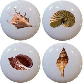  Artistic Seashells Drawer Pulls Knobs Set of 10