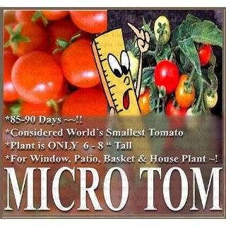 15 MICRO TOM Tomato Seeds ~ PLANT YOU OWN SMALLEST TOMATO PLANT IN THE 